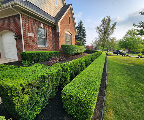landscaping
